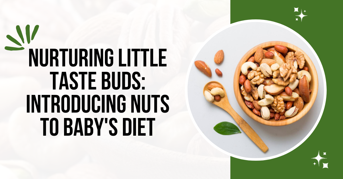 Nurturing Little Taste Buds: INTRODUCING NUTS TO BABY'S DIET